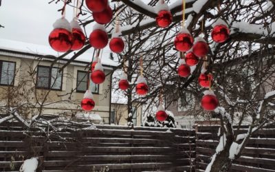 Дом в деревне 0 (0)