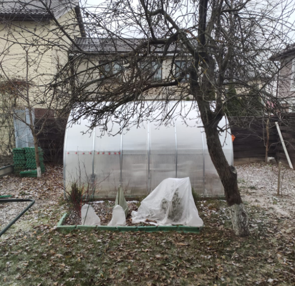 Нужен ли уход за теплицей зимой